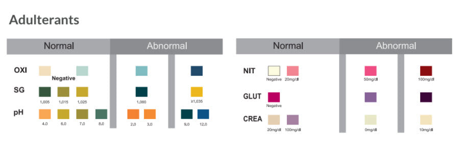 Urine Dip Card test including adulterant test strips