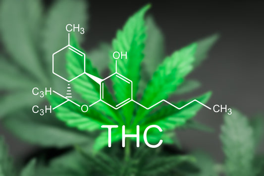 Managing Medicinal Cannabis in the workplace
