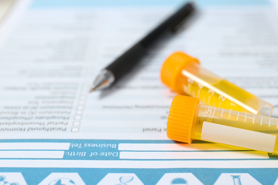 Why Chain of Custody is So Important