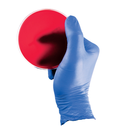 A hand shown wearing blue gloves